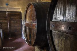 Winetourism in bodegas Faelo
